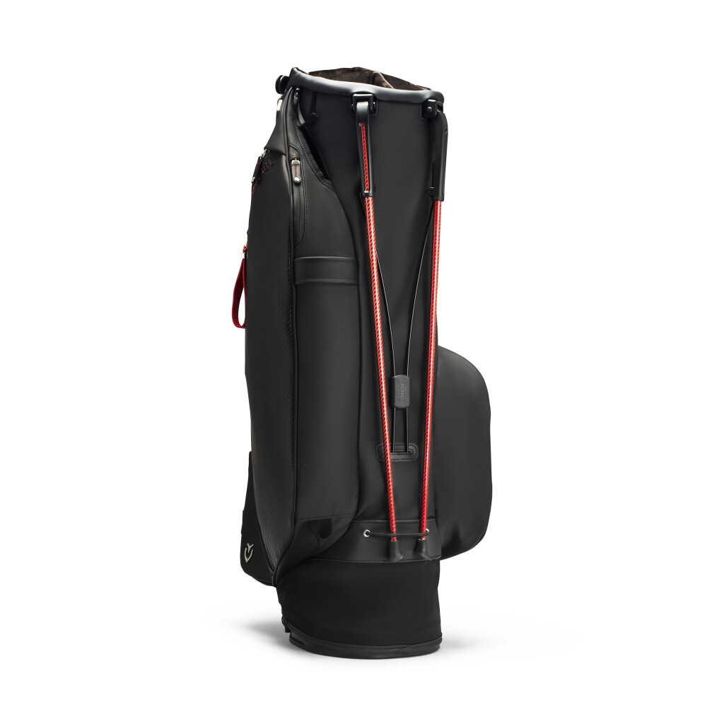 PLAYER 5.0 STAND SEASONAL COLOR サムネイル写真2