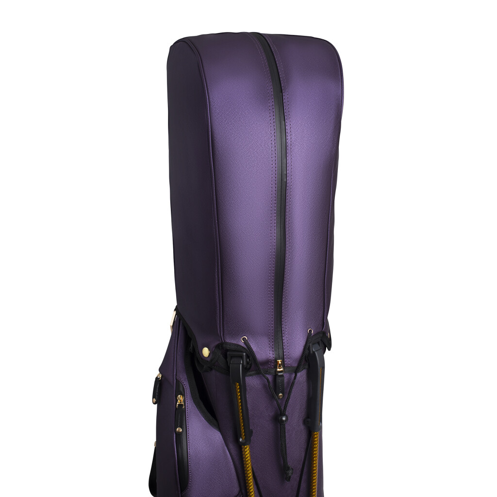 PLAYER 5.0 STAND PRO SEASONAL COLOR サムネイル写真1